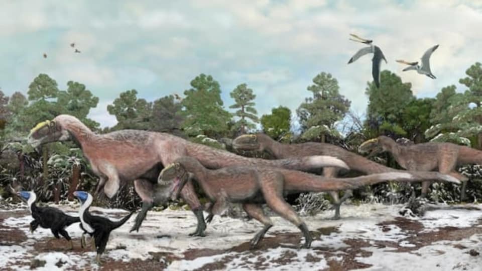 Yutyrannus